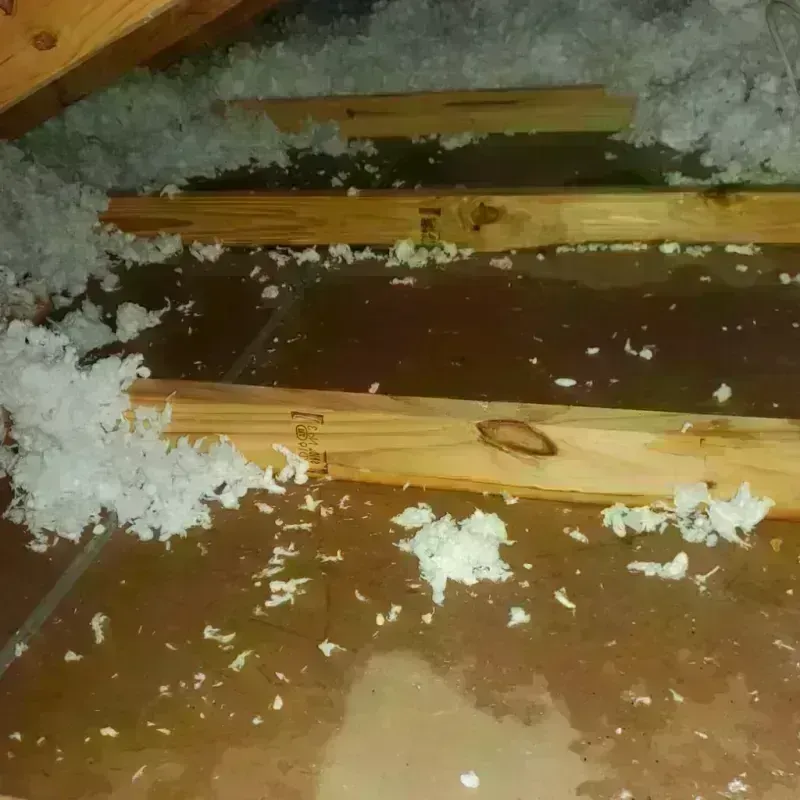 Attic Water Damage in Brooks County, TX