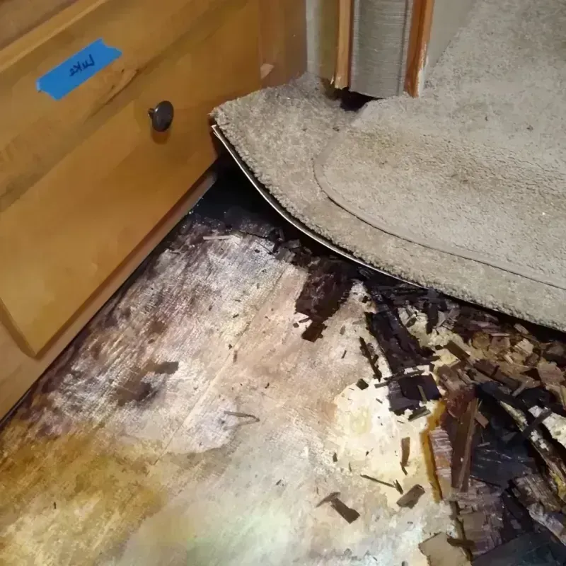 Wood Floor Water Damage in Brooks County, TX